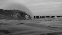 The power of the sea.