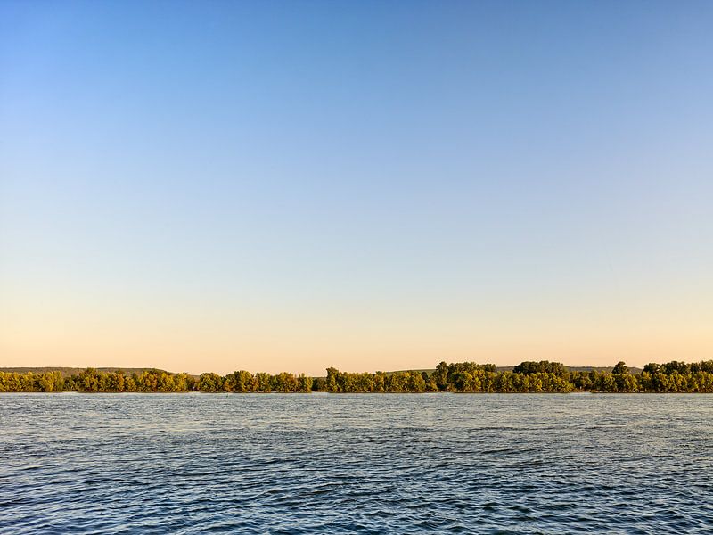 Blick über den Rhein von Ralph Rainer Steffens