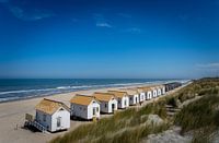 Beach houses.