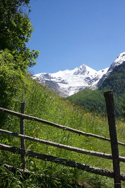 Het leven in de Zwitserse bergen op een zomerse dag von Mirjam Rood-Bookelman