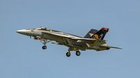 U.S. Navy Boeing F/A-18E Super Hornet from VFA-31 Tomcatters. by Jaap van den Berg thumbnail
