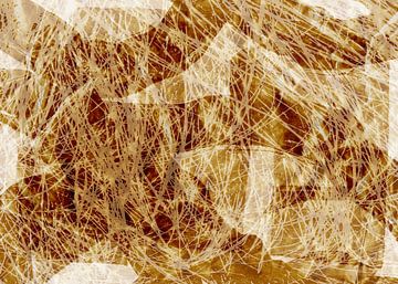 Gras in de wind. Wabi-sabi botanisch abstract van Dina Dankers