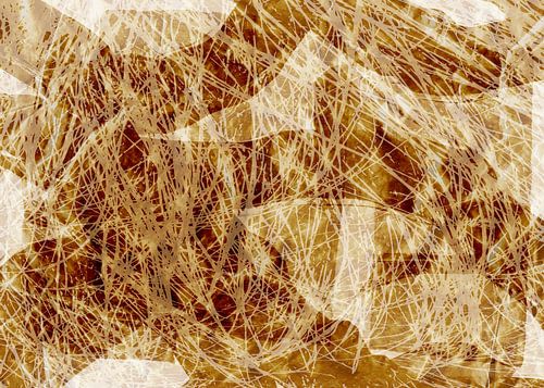 Gras in de wind. Wabi-sabi botanisch abstract