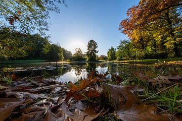 Autumn in the tree park in De Lutte! by Photo Joost