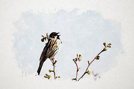 Reed sur un amorti sur Jan Bouw