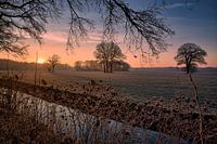 Frosty sunrise