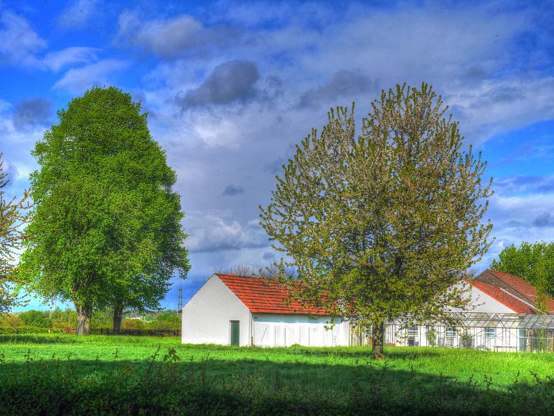 Lumière printanière par Edgar Schermaul