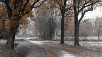 Winter in authentic rural Dutch village