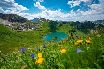 Bloemrijk uitzicht op de Schrecksee en de Hochvogelberg van Leo Schindzielorz