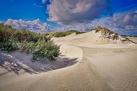 duin Kwade Hoek met duindoorn van eric van der eijk