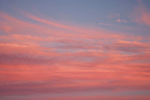 Roze Wolken