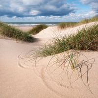 Helm op het strand
