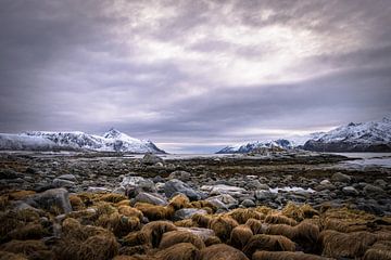 Magical Lofoten sur Henk v Hoek