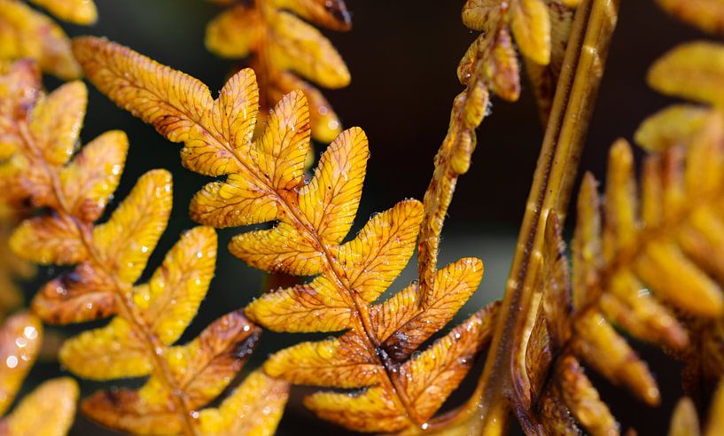 navigate by Marieke Funke