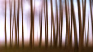Une nature artistique