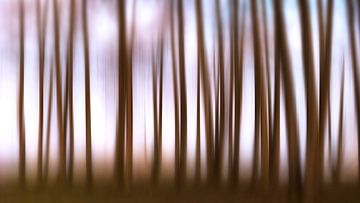 Kunstzinnige natuur van Heiko Westphalen