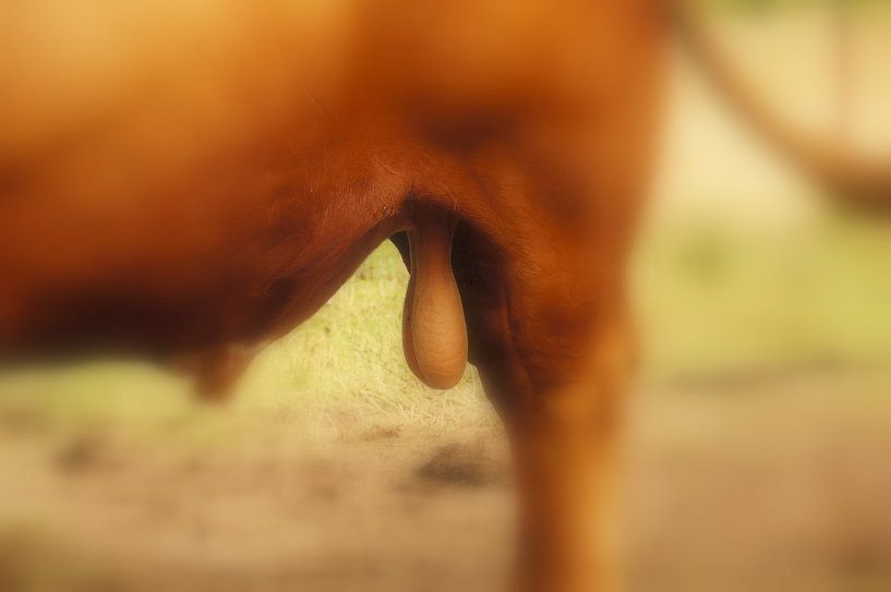 Nutur by KLaas Hartz