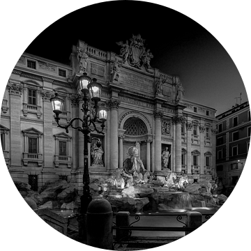 Trevi fontein in Rome van Rene Siebring