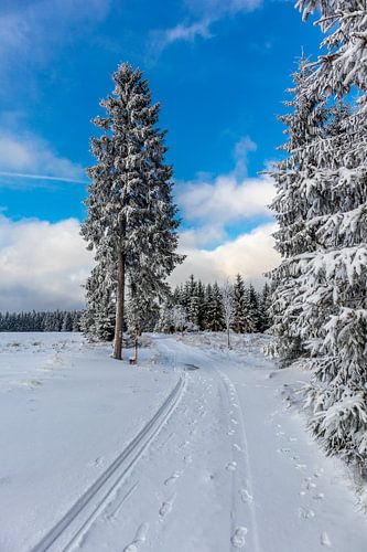 Eerste winterwandeling op de Rennsteig