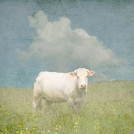 Französische Kuh auf der Wiese von Patrick Reinquin