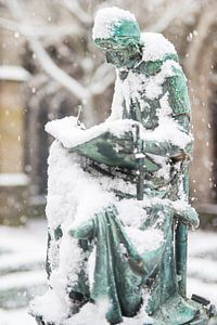 Beeld in de sneeuw