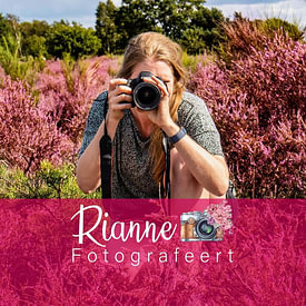 Rianne Fotografeert profielfoto