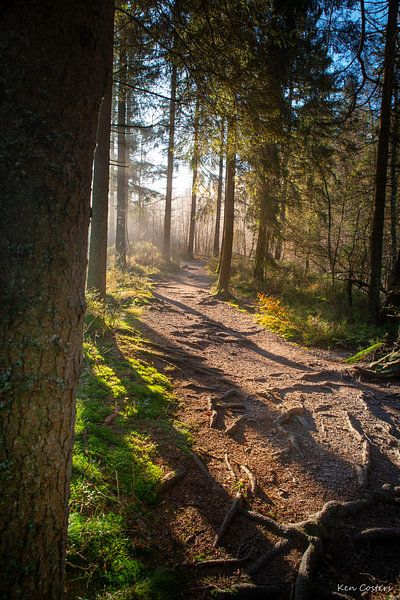 Un beau lever de la soleil dans les ardennes. par Ken Costers