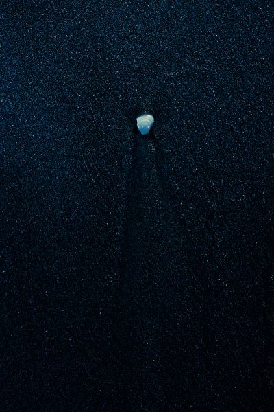 Shell on the beach by Jenco van Zalk