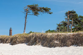 Darßer Weststrand mit Leuchtturm Darßer Ort von Thomas Bugdoll