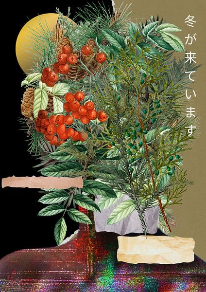 Apricity par Filipe Armond