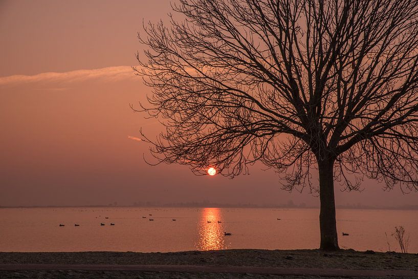 Zonsondergang Reeuwijkse Plassen van Remco-Daniël Gielen Photography