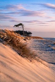 Weststrand Halbinsel Fischland-Darß von Achim Thomae Photography