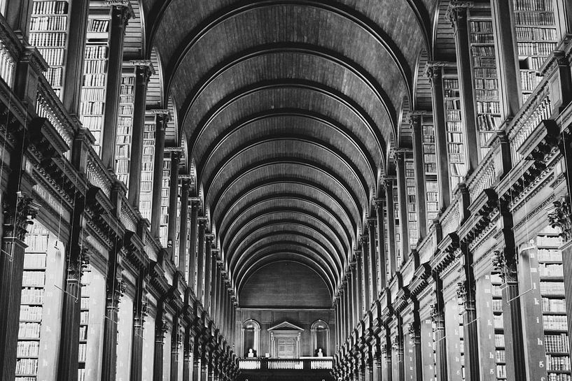 Bibliothek des Trinity College von Summer van Beek