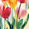 Tulipes sur annika persson