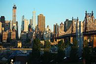 new york city ... ochtendlicht van Meleah Fotografie thumbnail