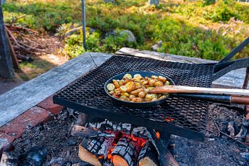 Koken boven een open vuur in de wildernis van Zweden van Margit Kluthke