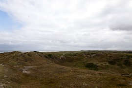Photos de l'île de Langeoog, située en Frise orientale, dans la mer du Nord. sur Bianca Meyering Fotos - BMF