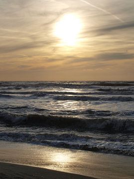 Huisduiner strand