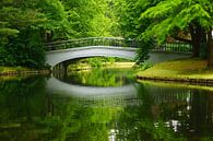 Brücke im Park von Michel van Kooten Miniaturansicht
