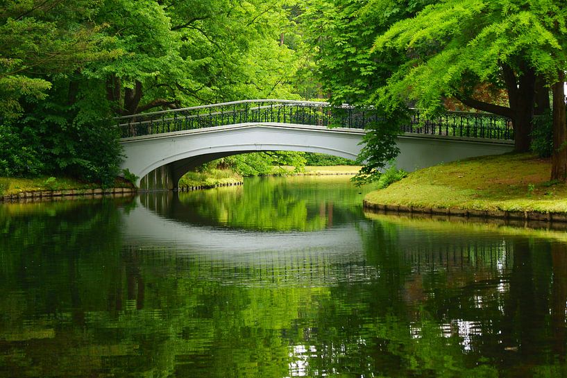 Brücke im Park von Michel van Kooten