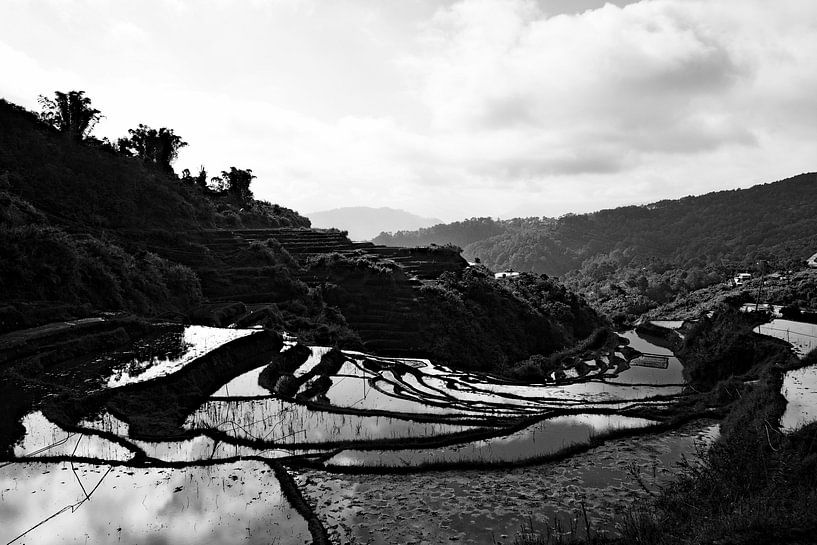 Les rizières de Maligcong en noir et blanc par Frank Photos