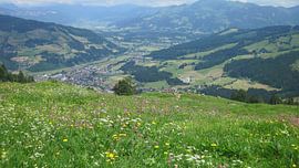 Oostenrijk by Ruud Cloosterman