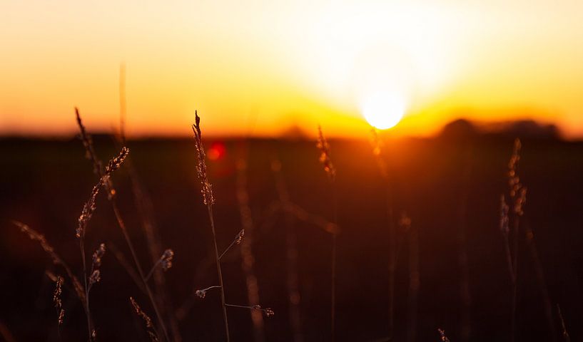 Evening light on Walcheren 3 by Percy's fotografie