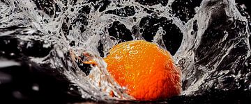oranje met water splash illustratie van Animaflora PicsStock