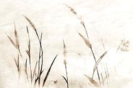 De ziel van de natuur van Mad Dog Art thumbnail