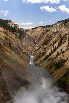 Lower Falls, Yellowstone National Park, USA van Jeroen van Deel