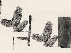 Ruhige botanische Kunst – Tannenbaum-Motive in Schwarz- & -Weiß