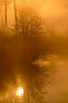 Aan de Dender smorgens vroeg