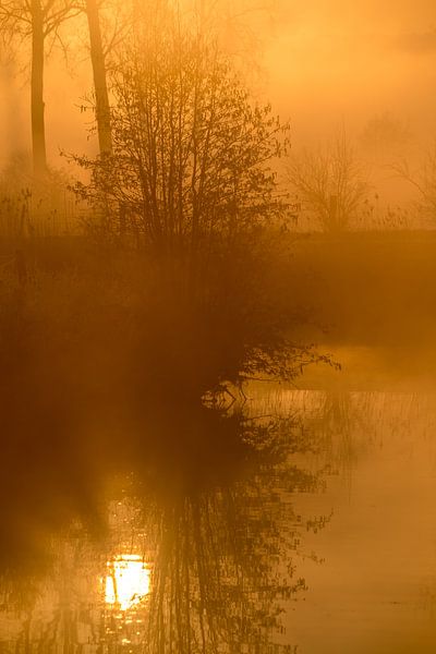 On the Dender early in the morning by Marcel Derweduwen