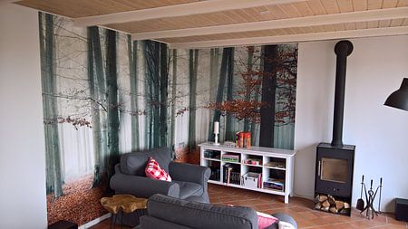 Banc dans une forêt brumeuse